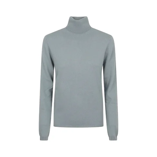 Allude Cashmere Turtleneck Knitwear