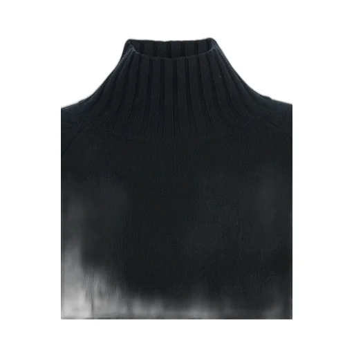 Allude High Neck Ribbed Knitwear