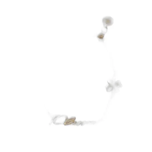 Alviero Martini Clover Logo Chain Bracelet