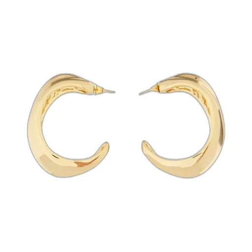 Alysi Irregular Hoop Earrings