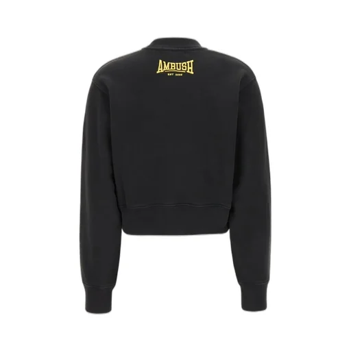 Ambush Scholarship Cropped Sweatshirt