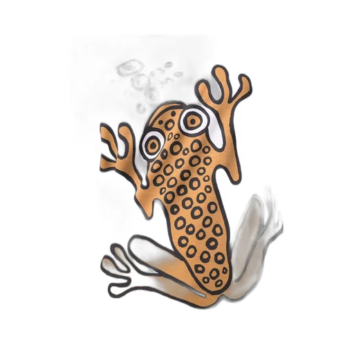 10 Corso Como Frog Graphic T-Shirt