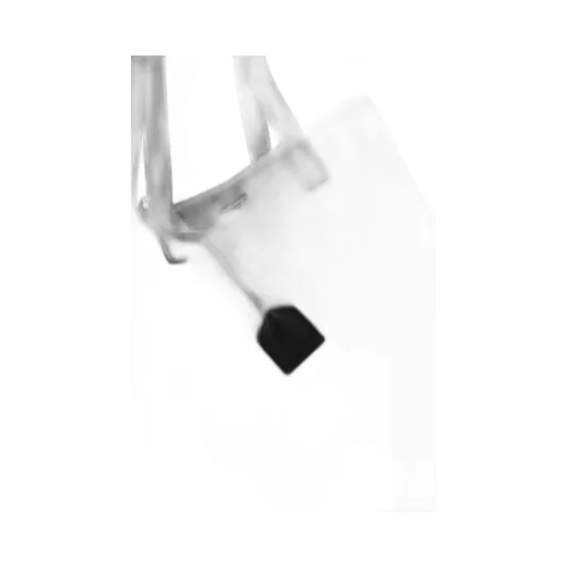 Saint Laurent Bold Shopping Tote Bag