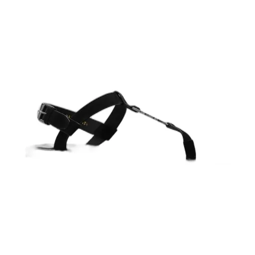 Saint Laurent Cassandra Logo Plaque Sandals