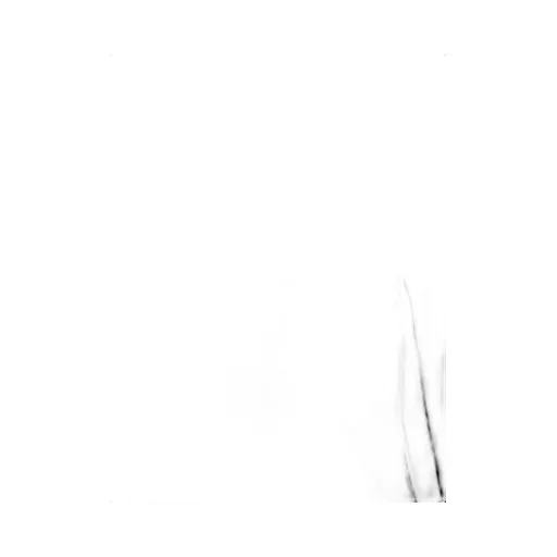 Saint Laurent Button Detailed Long-Sleeved Polo Shirt