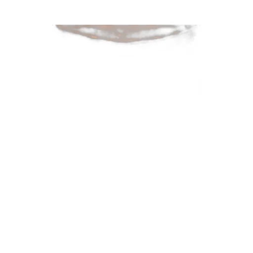 Rick Owens Oversized Short Sleeved Crewneck T-Shirt