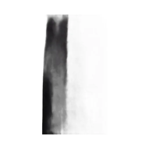 Rick Owens Concordians Runway Hooded Tunic
