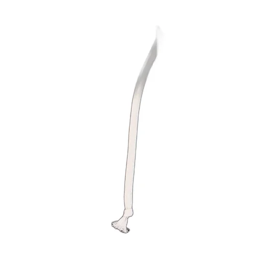 Rick Owens Bela Drawstring Pants
