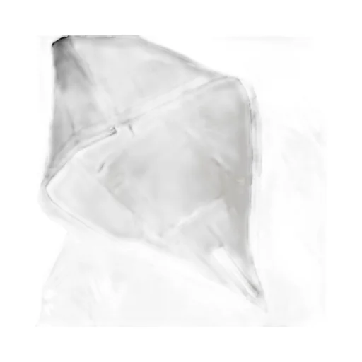 Rick Owens Drkshdw Strobe Hooded Parka