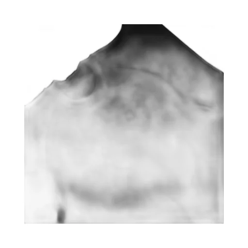 Rick Owens Drkshdw Hollywood Tecsweat Sweatshirt