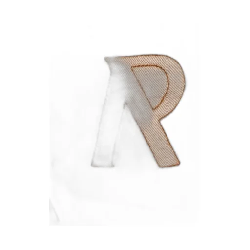 Represent R3Ca Logo Embroidered Straight Leg Cargo Jeans