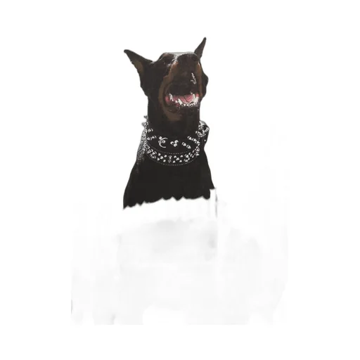 Represent Thoroughbred Crewneck T-Shirt