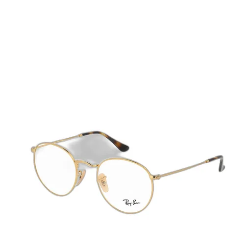 Ray-Ban Round Frame Glasses