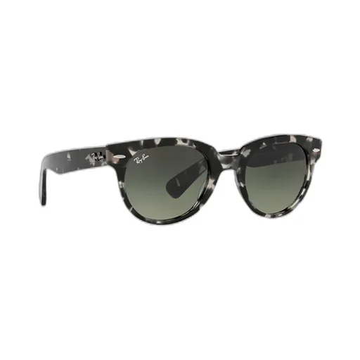 Ray-Ban Orion Round Frame Sunglasses