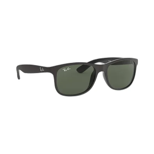 Ray-Ban Andy Sunglasses