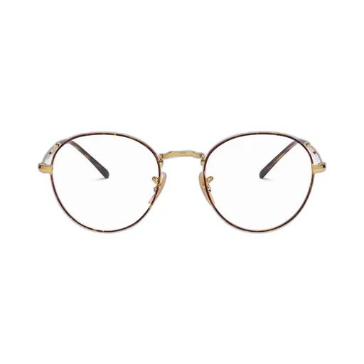 Ray-Ban Round Frame Glasses