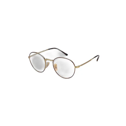 Ray-Ban Round Frame Glasses