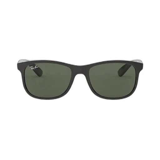 Ray-Ban Andy Sunglasses