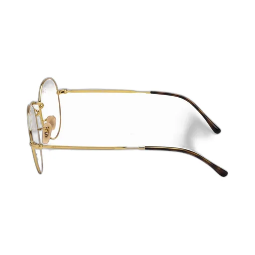 Ray-Ban Round Frame Glasses