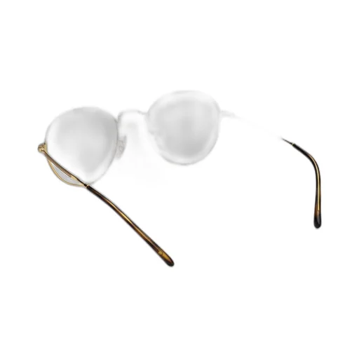 Ray-Ban Round Frame Glasses