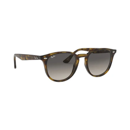 Ray-Ban Rb4259 Round Frame Sunglasses