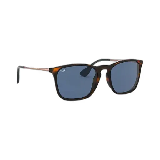 Ray-Ban Chris Square Lens Sunglasses