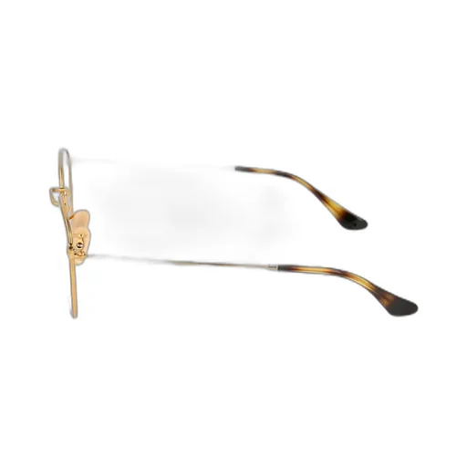 Ray-Ban Round Frame Glasses