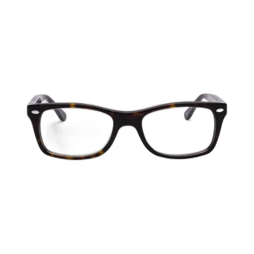 Ray-Ban Rectangular Frame Glasses