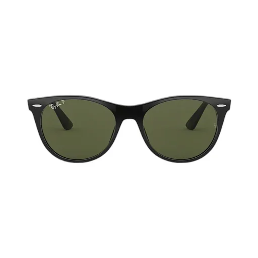 Ray-Ban Wayfarer Ii Classic Oval Frame Sunglasses