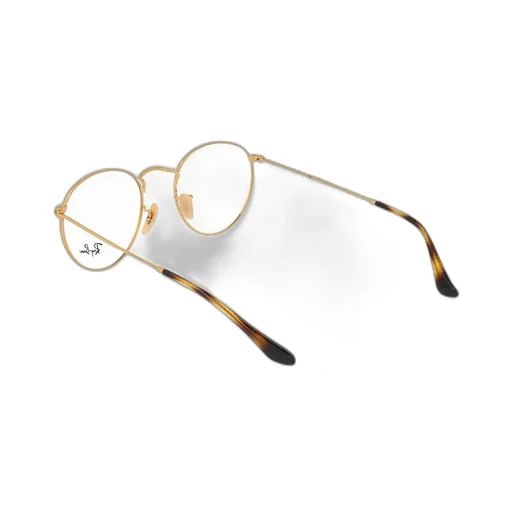 Ray-Ban Round Frame Glasses