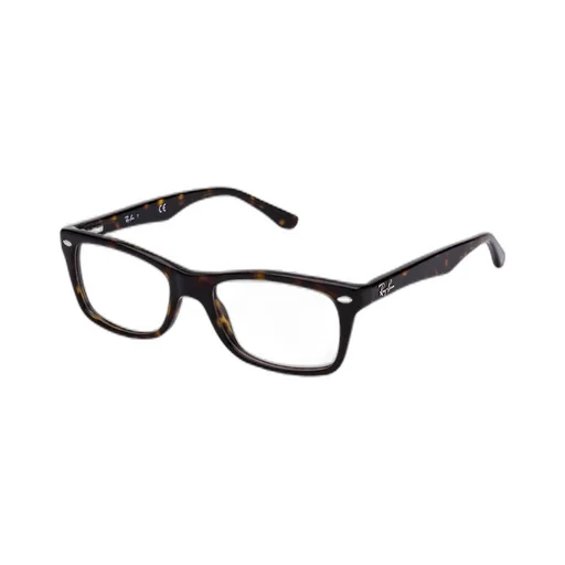 Ray-Ban Rectangular Frame Glasses