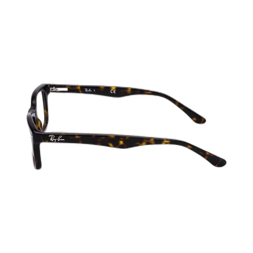 Ray-Ban Rectangular Frame Glasses