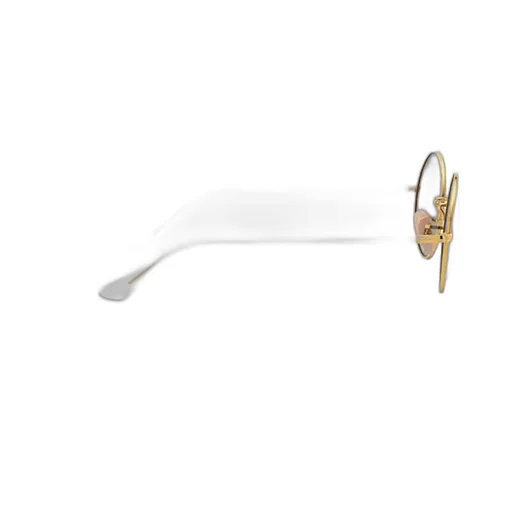 Ray-Ban Oval Frame Sunglasses