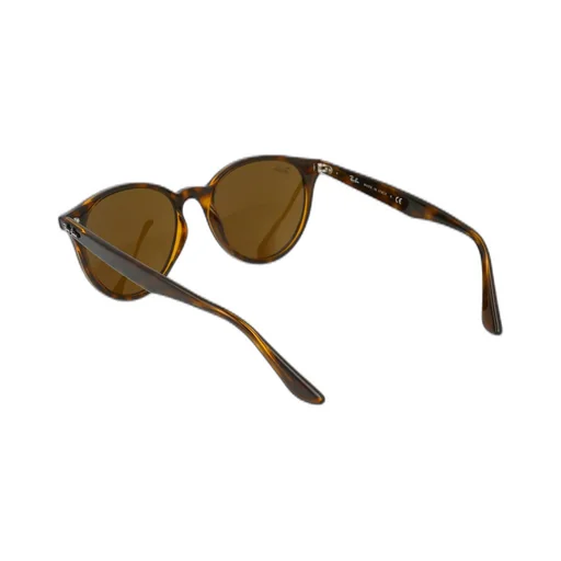 Ray-Ban Rb4305 Round Frame Sunglasses