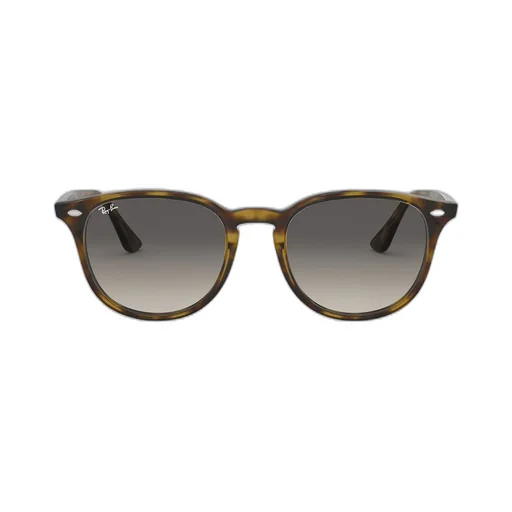 Ray-Ban Rb4259 Round Frame Sunglasses