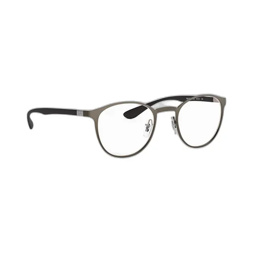 Ray-Ban Round Frame Glasses