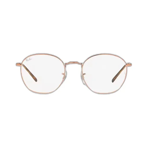 Ray-Ban Round-Frame Glasses