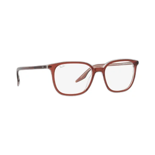 Ray-Ban Square Frame Glasses