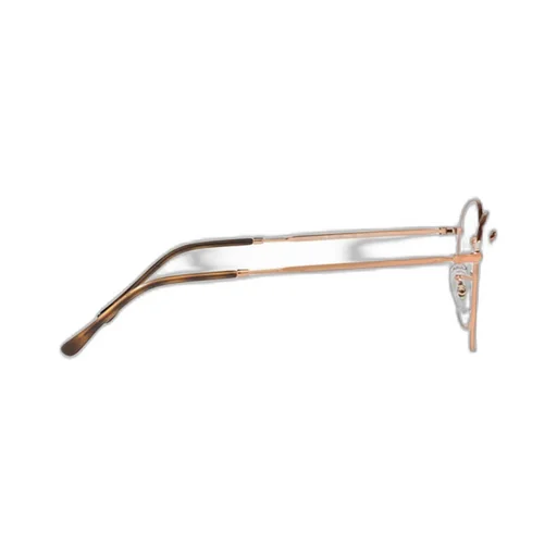 Ray-Ban Round-Frame Glasses