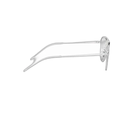 Ray-Ban Round Frame Glasses
