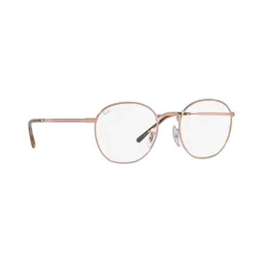 Ray-Ban Round-Frame Glasses