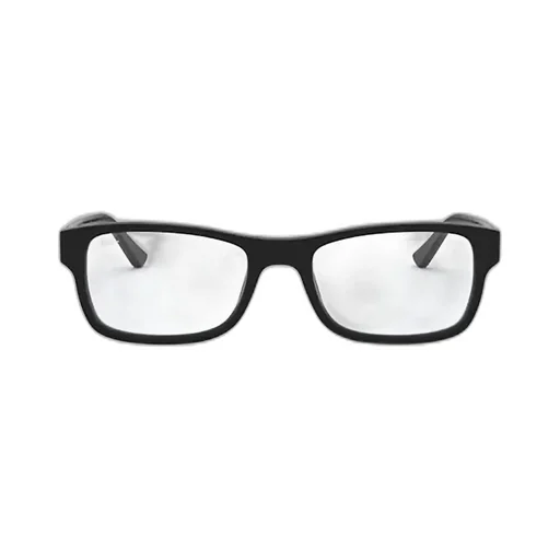 Ray-Ban Rectangular Frame Glasses