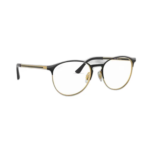 Ray-Ban Round Frame Glasses