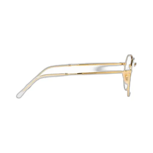 Ray-Ban Jack Irregular Frame Glasses
