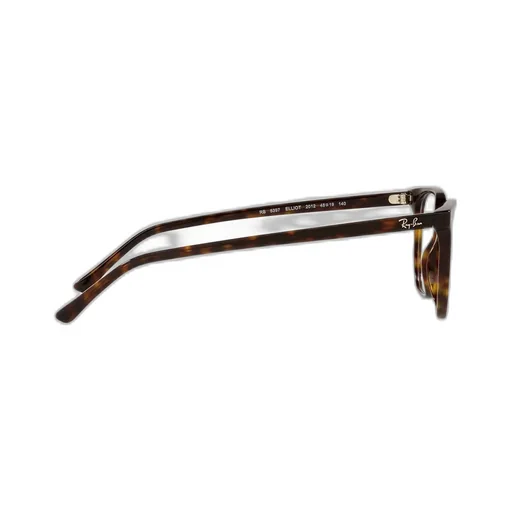 Ray-Ban Elliot Square Frame Glasses