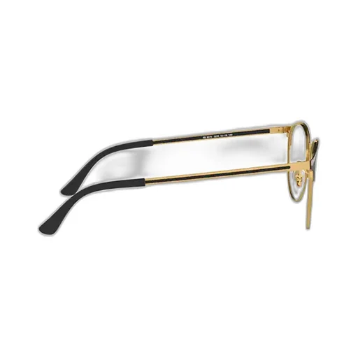 Ray-Ban Round Frame Glasses