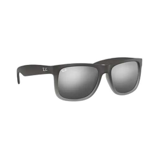 Ray-Ban Justin Classic Sunglasses