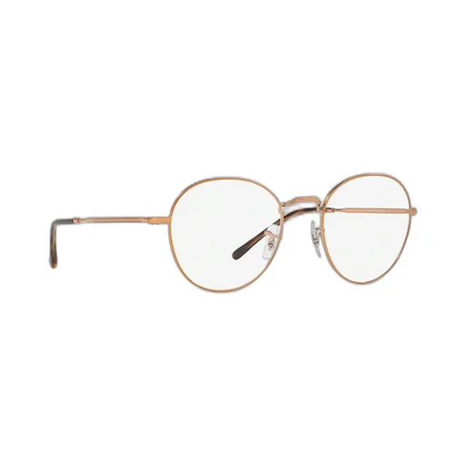 Ray-Ban Round Frame Glasses