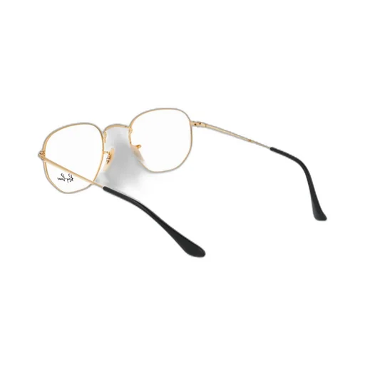 Ray-Ban Hexagonal Frame Glasses