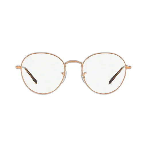 Ray-Ban Round Frame Glasses